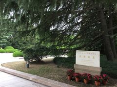 -宋庆龄陵园