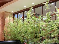 大堂-国味壹号·精品湘菜·宴请佳选(新天地店)