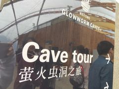 -怀托摩萤火虫洞