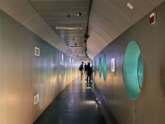 -白鹤梁水下博物馆