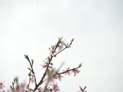 -常德桃花源景区