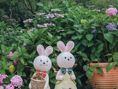 -上海共青森林公园