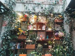 -杨小贤(五店市店)