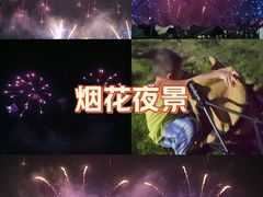 -南宁花花大世界景区