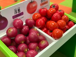 -莫莉幻想儿童乐园(武汉经开永旺店)