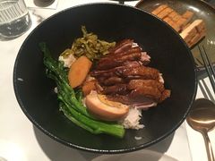 -MR鹅外
