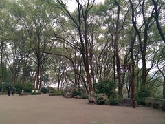 -忠山公园