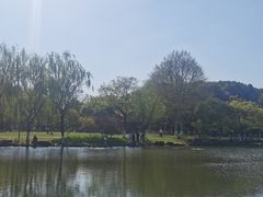 -范蠡湖公园