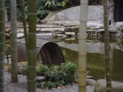 -南山植物园