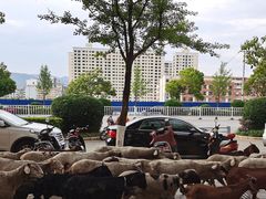 -福兴园(通宝路店)