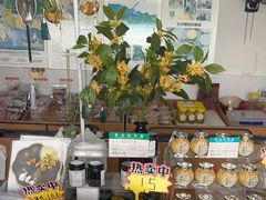 -苏州市吴中区光福窑上花果蜜饯厂