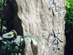 -十八棵（老龙井）御茶园(老龙井店)