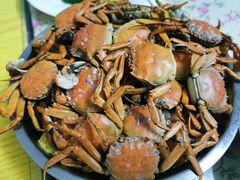 -大湾区中央湿地公园-十九涌