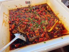 传统毛血旺-杨记隆府(白象街店)