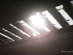 -田德能咖啡博物馆