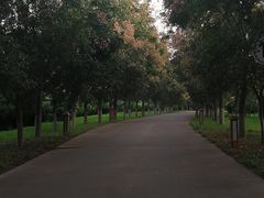 -华山御温泉度假村