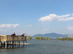 -洱海月湿地公园