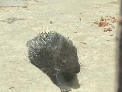 -青藏高原野生动物园