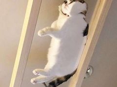 -Best U照相馆·企业外拍部(环球港店)