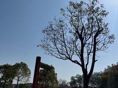 -上海都市菜园