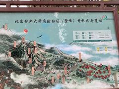 -北京鹫峰国家森林公园