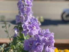 -3W咖啡(北大店)