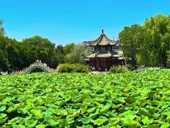 -莲池书院博物馆
