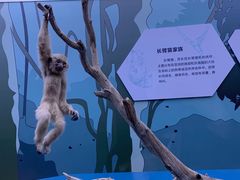 -长江文明馆