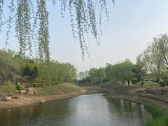 -莫子山公园