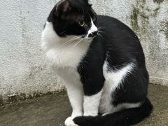 -南京工程学院(江宁校区)