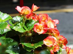 -国生茶庄·地道农家菜团建活动