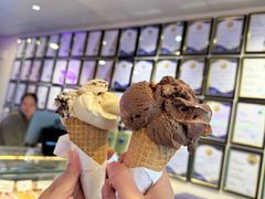 -Dooley's Premium Ice Cream