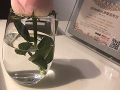 -伊斯坦布尔土耳其清真咖啡餐厅