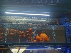 -好灶头妈妈菜·千岛湖柴火鱼餐厅(桐庐店)
