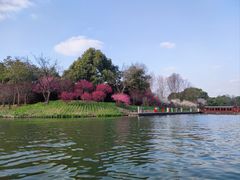 -西溪国家湿地公园