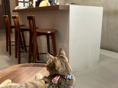 -Again Coffee Roaster(香蜜湖店)