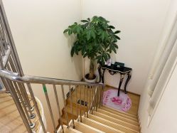 -苗方清颜专业祛痘连锁机构