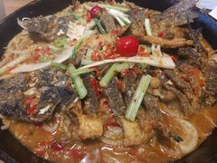 -老板恋上鱼(恒隆广场店)