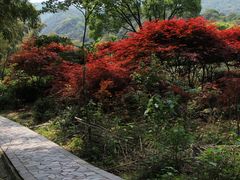 -北仑森林植物园