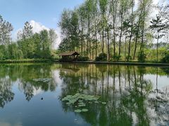 -溱湖国家湿地公园