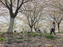 -南京邮电大学(仙林校区)