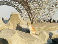 -南汇嘴观海公园