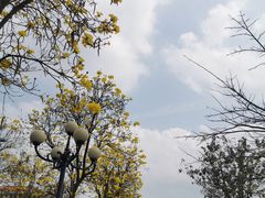 -洲头咀公园