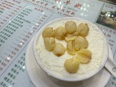 莲子双皮奶冻-义顺牛奶公司(新马路老店)