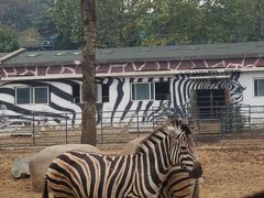 -大连森林动物园