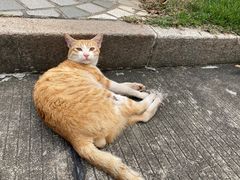 -深圳湾公园(南山区)