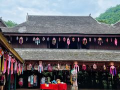 -西双版纳原始森林公园