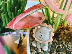 -EnergyCake蛋糕理想国