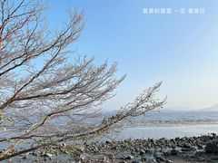 -深圳湾公园(南山区)