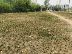 -白鹭湾湿地公园